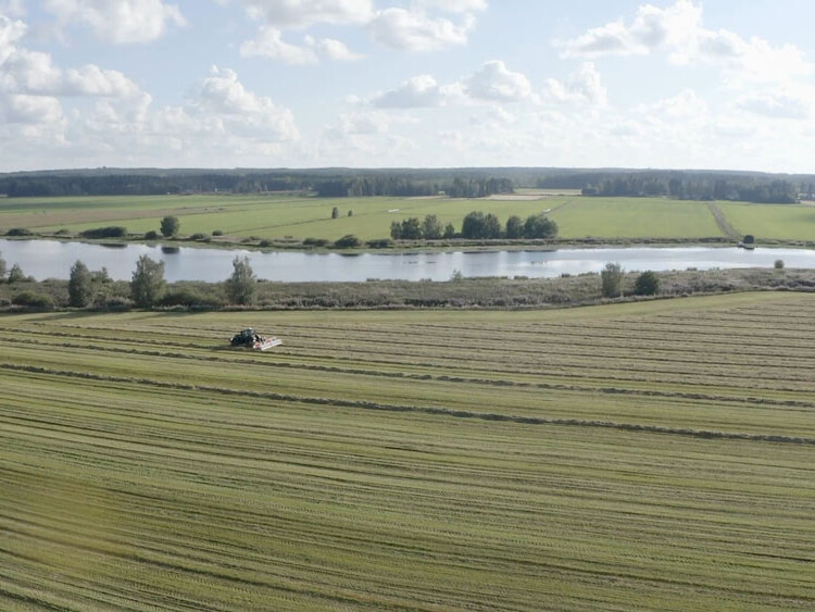 RESPIRO R7 during windrowing: View from above