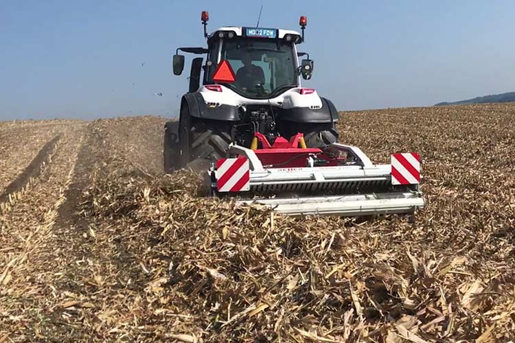 RESPIRO R3 Bandschwader im Einsatz am Maisstroh