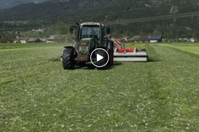 Reiter RESPIRO beim erster Schnitt in Kärnten